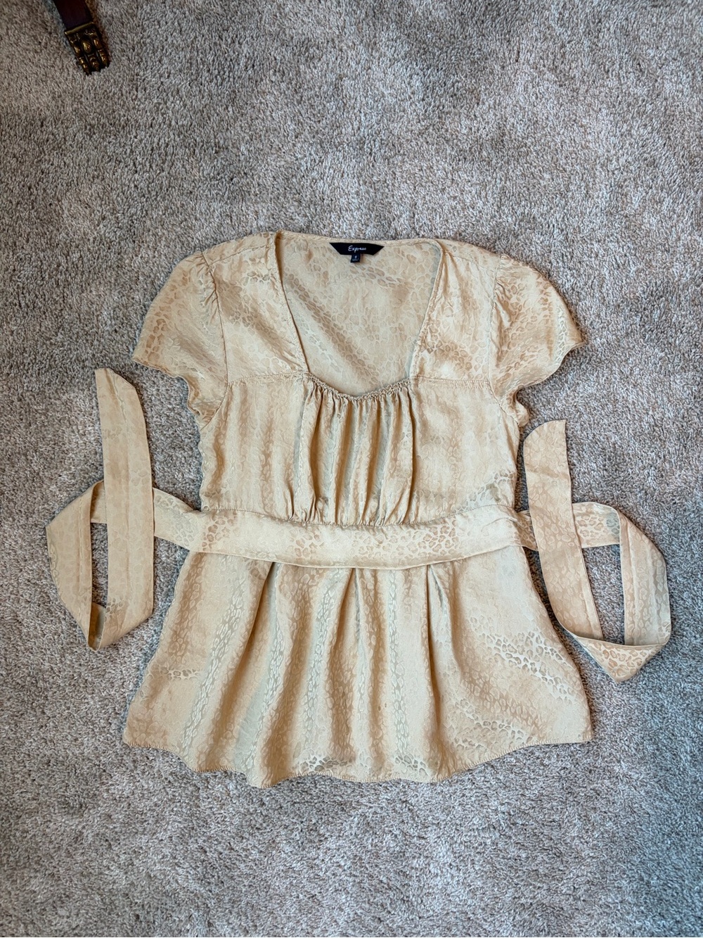 Gold Cheetah Print Y2K Top